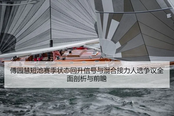 fu-yuan-hui-duan-chi-sai-ji-zhuang-tai-hui-sheng-xin-hao-yu-hun-he-jie-li-ren-xuan-zheng-yi-quan-mian-pou-xi-yu-qian-2-233.jpg